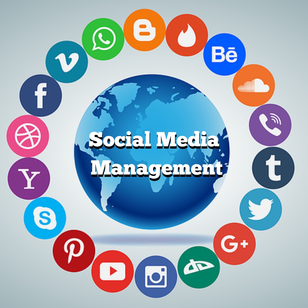 Social Media Management Services in India
